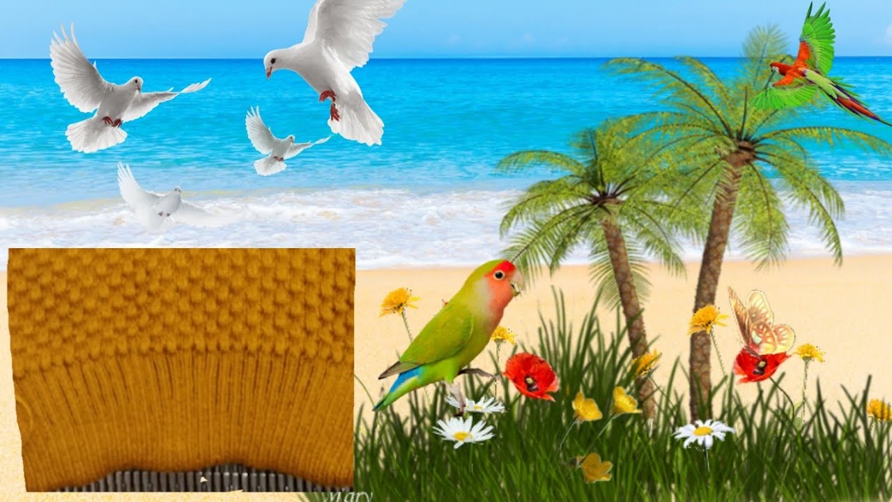 جيلي نسائي جميل الجزء الأول على مكنة تريكو باساب #بالصحة_والراحة _#لاتنسو الإشتراك وجيم جزاكم الله