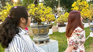 Công viên Tao Đàn - Mùng 3 Tết 2023