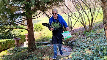 An EXCITING Day in the  Garden!