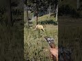 Survival Skill in Red Dead Redemption 2 P 1415 #gameplay #gaming #shorts