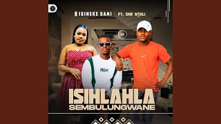 Isineke Sami (feat. Sne Ntuli)