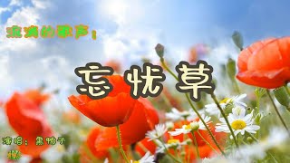 忘忧草 - 流淌的歌声。演唱：黑鸭子