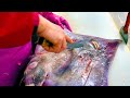 홍어찜 홍어회 Amazing cute fish cutting & Seasoned Skate seafood - Korean food