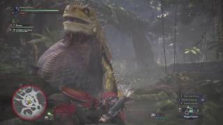 Great Devourer, Great Jagras Monster Hunter World Beta