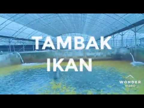  SEPERTI  APA  YA DI DALAM  YouTube