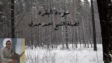 ما تيسر من سورة البقرة /  فضيلة الشيخ احمد حمدي ( تلاوة خاشعة )
