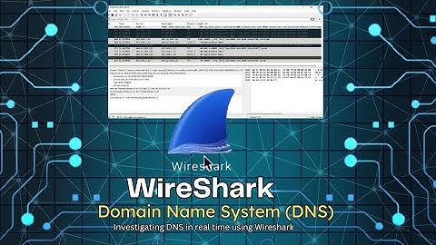 Domain Name System DNS | Secret behind working of Websites in real-time | Investigating DNS Protocol