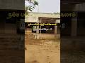 My School vlogs - 3 | #karaikudi #krishvavlogs #maduraivlogs #shorts #schoollife #jvhs #dailyvlog