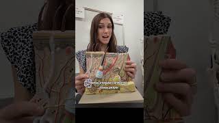 Let's review the skin! #anatomy #anatomyandphysiology #skin