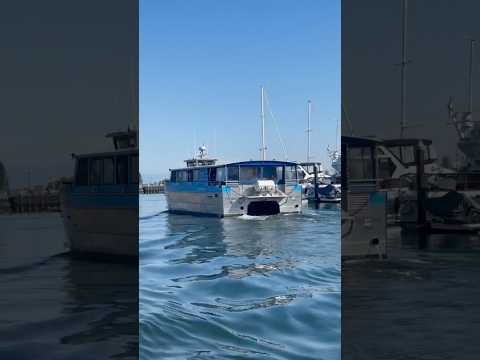 Yesterday I took the Harbor Hopper, a pilot passenger ferry between Everett and Whidbey Island.
