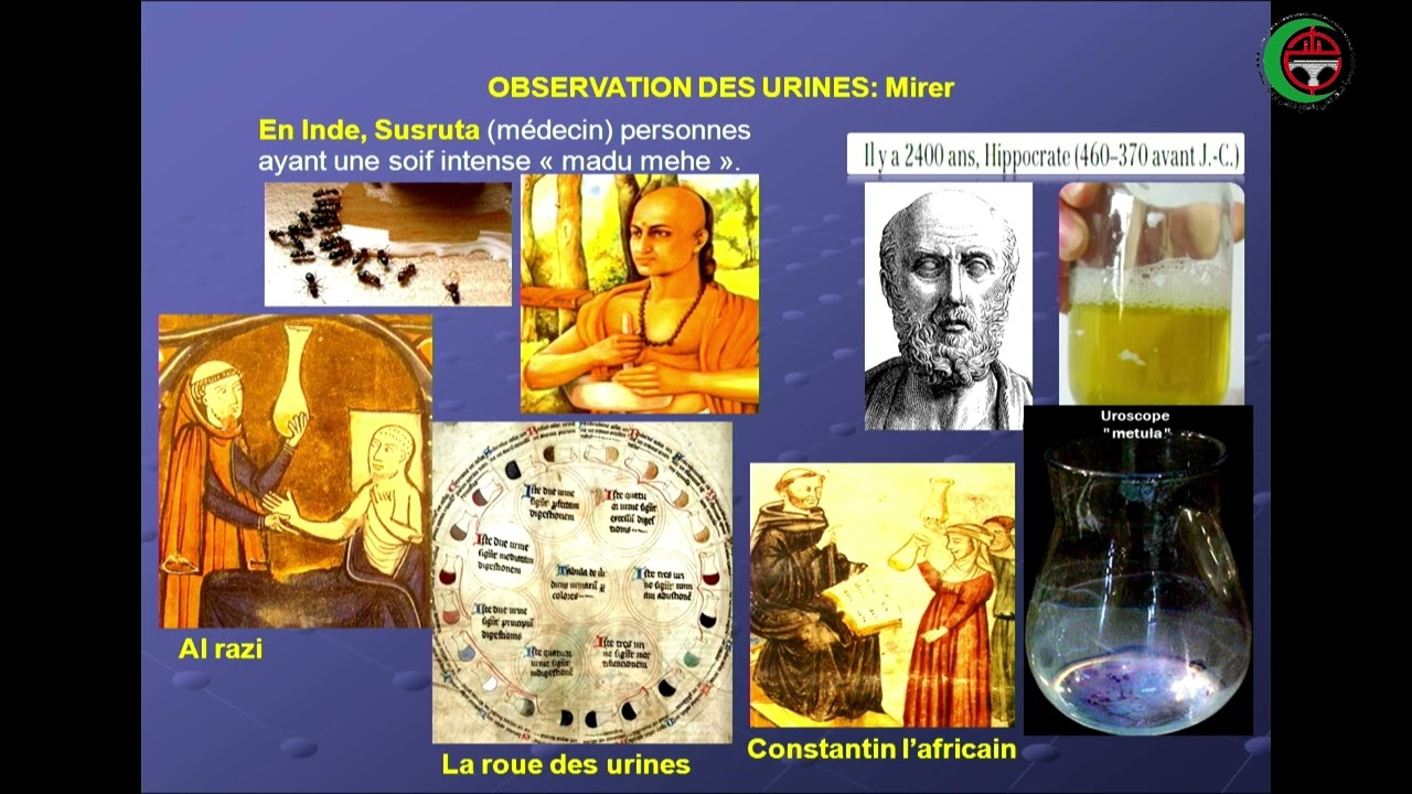 Pr RAAF NABIL : Bilan biochimique rénal