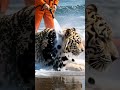 tiger rescue