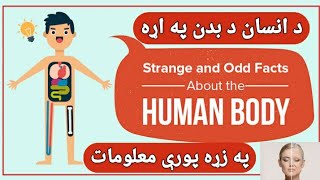 د انسان د بدن په اړه په زړه پورې معلومات! Interesting information about the human body!