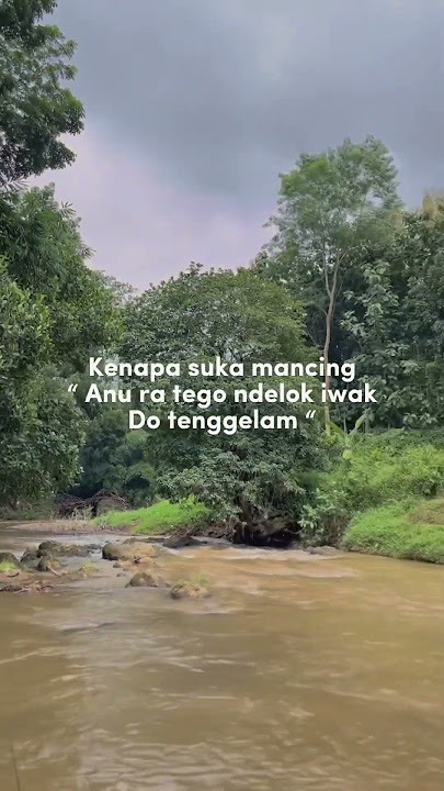 Hanya penyelamat ikan #happyasmara #dangdutkoplo #dangdut #fishing #mancing #fishinglife