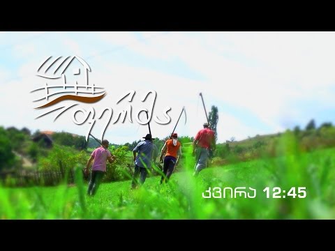 ყოველ კვირას, 12:45 საათზე - „ფერმა\"