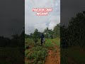 pancaran sinar matahari mutlak dibutuhkan oleh tanaman #agrikultur #farmingtips #farming#shorts#fyp