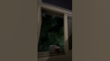 "من قرأ سورة الكهف يوم الجمعة أضاء له من النور ما بين الجمعتين"