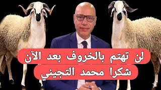  لن تهتم كثيرا بخروف العيد بعد هذا الفيديو،شكرا محمد التجيني هذا هو عيد الأضحى الحقيقي 