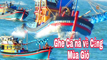 🔴 Ghe pha Súc Cà Ná về Cảng Lagi Mùa Cá Cơm || Bình Thuận Dấu Yêu