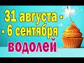 ВОДОЛЕЙ 👍 неделя с 31 августа по 6 сентября. Таро прогноз гороскоп