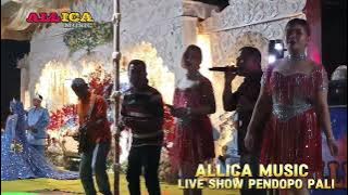 Harta Dan Kesetiaan Allica Music Live Show Desa Pendopo Pali #live #dangdut #allicamusic