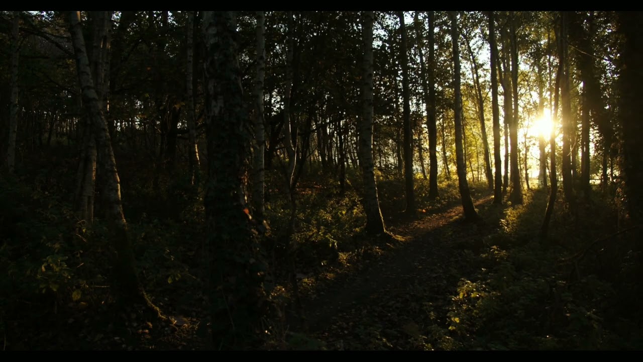 사순절 묵상 | 예수님의 십자가 사랑을 묵상하는 시간 Lent Meditation | Reflecting on the Love of the Cross