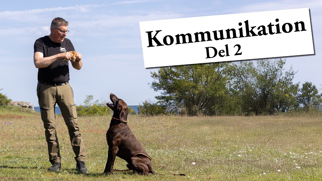 Hundskolan Kommunikation Del 2