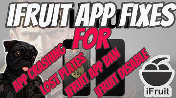 IFRUIT APP fixes Crashing or Lost Custom Plates: GTA 5 Online