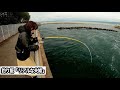 【衝撃】温排水に潜む脂ギトギトのバケモノを狙う!! 妻が餌を落とすと…とんでもない事に ○○が簡単に○○が連続ヒット、魚影が異次元すぎました。