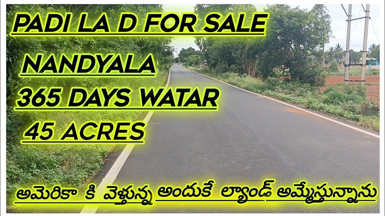 Nandyala Area's Padi land for sale 7 Lks Acre cost best