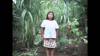 Panama: living in limbo, the story of Denis Mecha, indigenous Colombian refugee