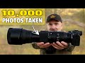 Sigma 150-600mm Contemporary Review for Bird and Wildlife Photography