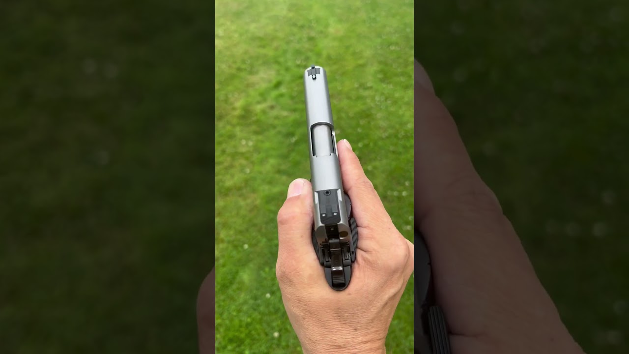 Browning 1911 “Black Label” .380acp