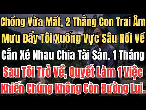 Chồng Vừa Mất, 2 Thằng Con Trai Âm Mưu Đẩy Tôi Xuống Vực Sâu Rồi Về Cắn Xé Nhau Chia Tài Sản.