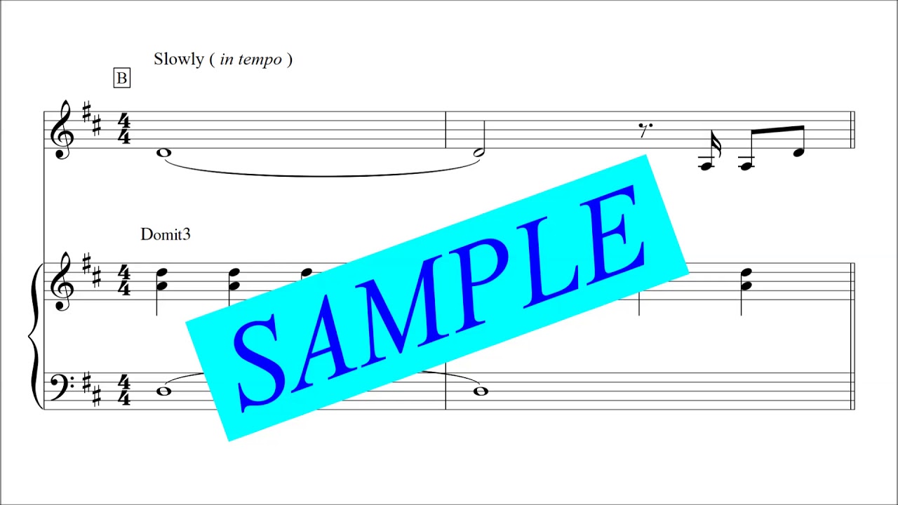 楽譜 You Raise Me Up ピアノ伴奏譜付き Celtic Woman ケルティック ウーマン メロディ譜 林知行 楽譜 Elise