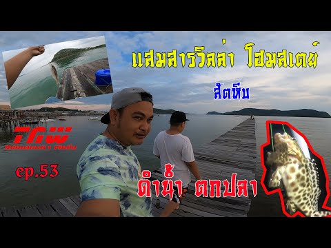 EP.53 พาไปดูที่ตกปลาสวยๆ ที่แสมสารวิลล่าโฮมสเตย์