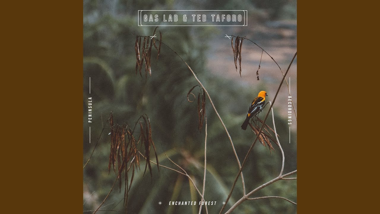 Guarda Unexpected su YouTube Guarda Unexpected su YouTube