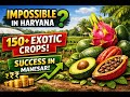 Haryana Mein 150+ Crops | Manesar Ka Exotic Farming Model #krishiparivar #raviwadhwa #manesar