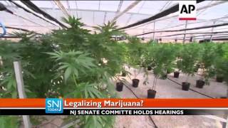 Senate Holds Hearings to Legalize Marijuana in the Garden State