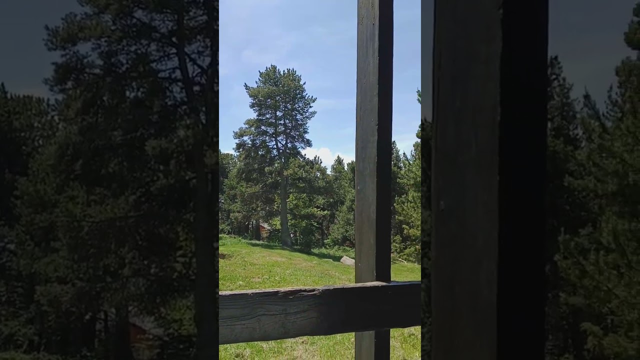 Vidéo Vente studio 25&nbsp;m² Font-Romeu-Odeillo-Via