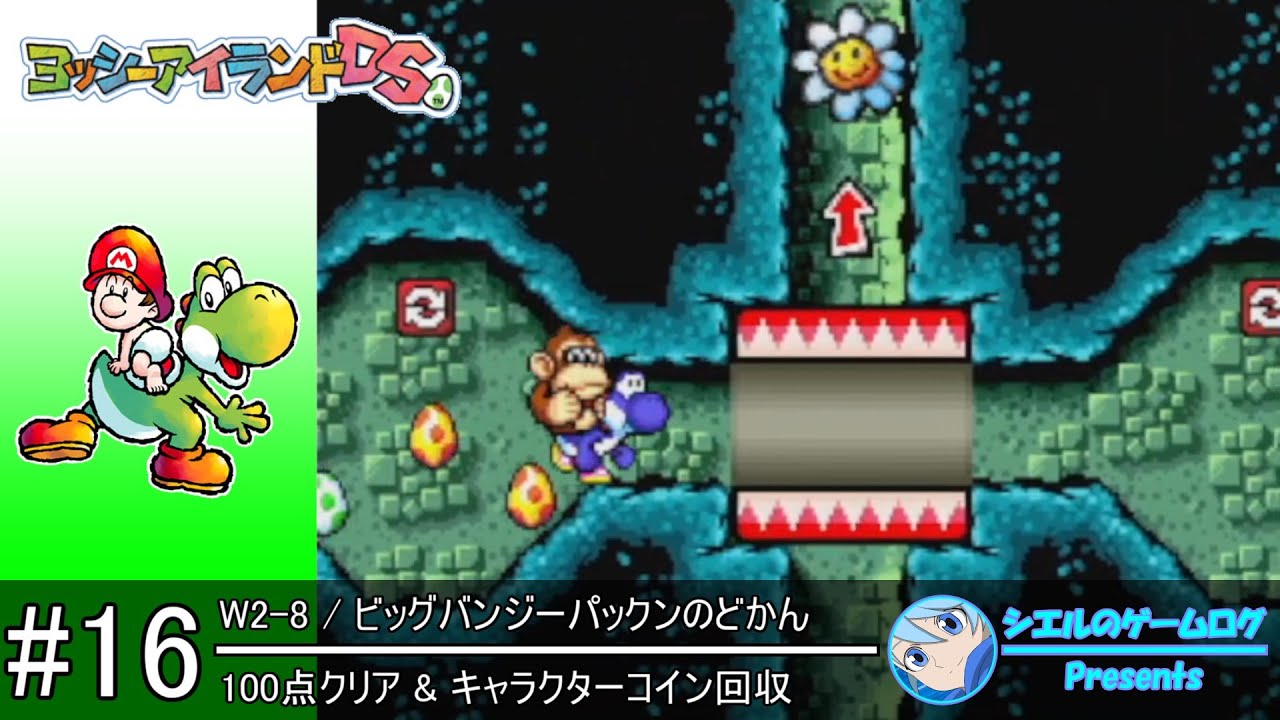 ヨッシーアイランドDS】#16 W2-8 ビッグバンジーパックンのどかん【100