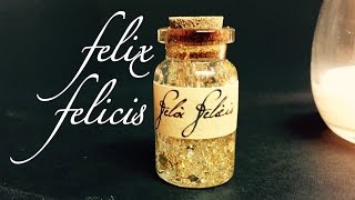 Felix Felicis : Harry Potter Potions : DIY Potion Bottle : Halloween Prop ( Harry Potter Inspired)