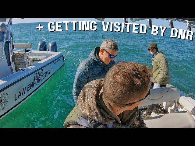 The Bite Was on From the First Drop  Offshore Winter Sheepshead Fishing 