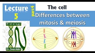 6- Cell cycle 2021-Histology-First year-1- Foundation 2021