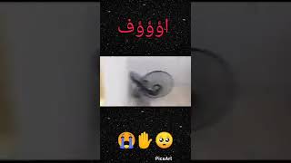 لأصحاب القلوب القويه ذبح بنت فلبينيه السبب...؟