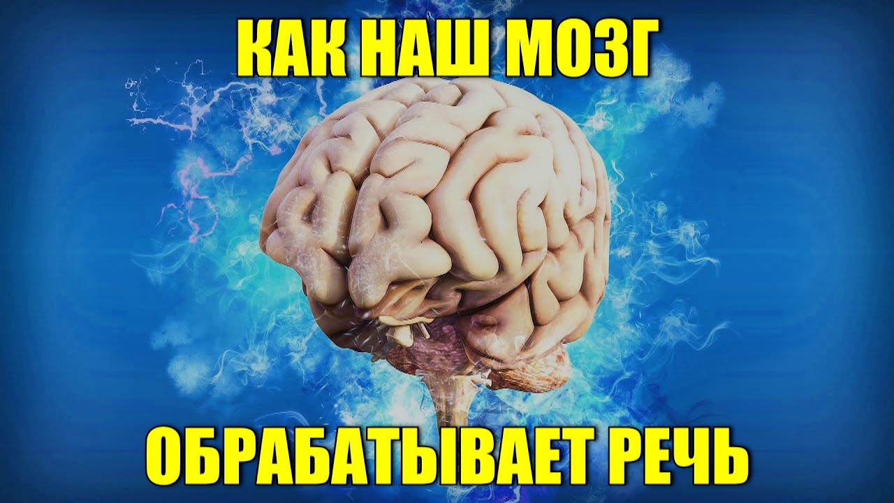 Значение слова мозги. Наш мозг. Мозг и речь картинки. Слово мозг. Текст про мозг.