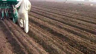 Raised-Bed Planting For Weat Crop( PROF DR RAI NIAZ AHMED)
