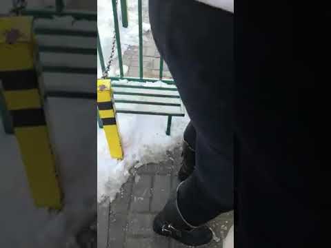 книга коты воители стань диким!огонь и лёд!🐈
