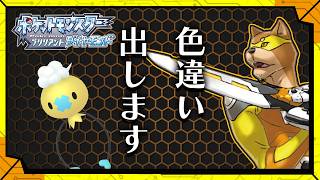 #67 【出します】引っ越す前にフワンテ出します【ハクタイジム編】／【RPG】カラシの「ポケットモンスター ブリリアントダイヤモンド」