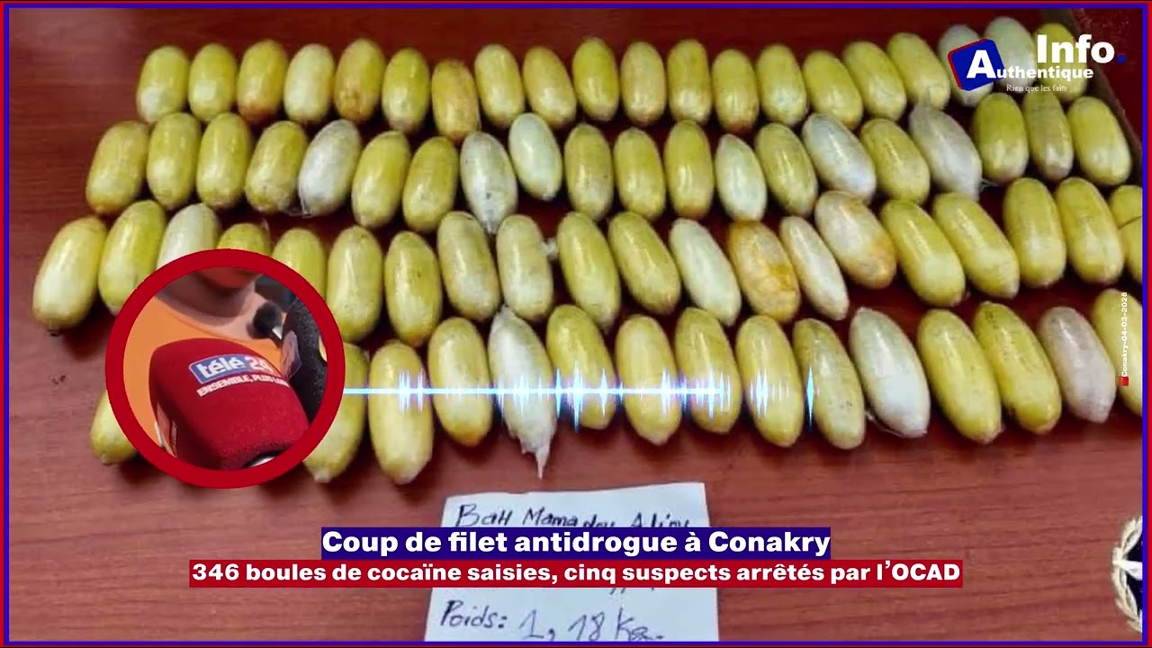 🚨🇬🇳| Conakry : 346 boules de cocaïne saisies, cinq suspects arrêtés par l’OCAD. ⬇️